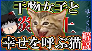 【ゆっくり解説】動物保護系Youtuberの炎上と闇を解説【干物女子と幸せを呼ぶ猫】