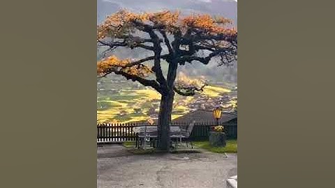 تلاوة مباركة من سورة المائدة 64 - 70 / أحمد الذبحاني