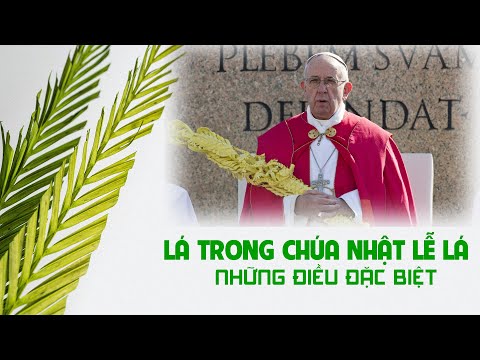 Video: Làm Thế Nào để Dành Ngày Chủ Nhật Lễ Lá