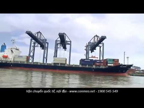 Quá trình hoạt động cảng container - Cảng Cát Lái
