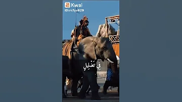 سوره الفيل 
