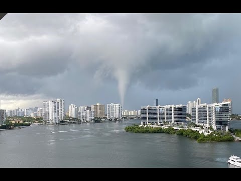 Video: Delfíni Zabití Na Floridě