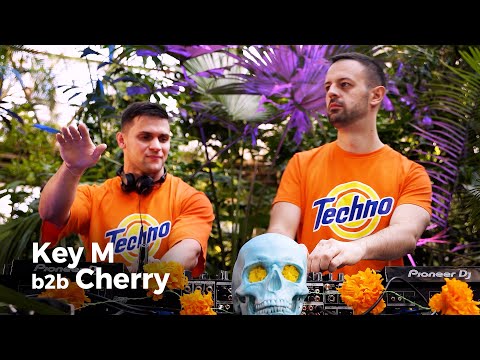 Video: Dorty „Cherry Of Happiness“