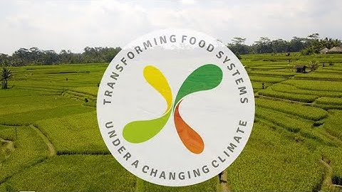 Business unusual: Transforming food systems under a changing climate