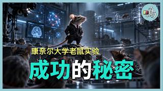老鼠实验揭示，想要成为大人物，只需在人生早期做一件小事