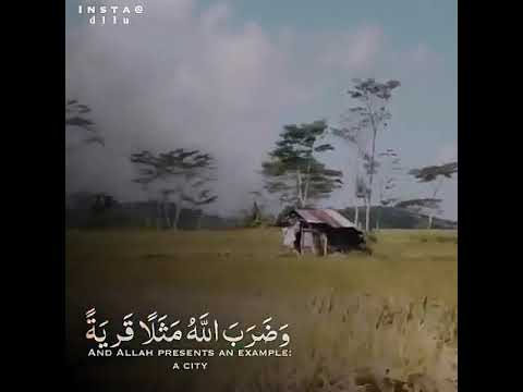 البدء خلق الله السموات والأرض وكانت الأرض خربه وخاليه وعلي وجه الغمر ظلمه وروح الله يرف علي وجه ا