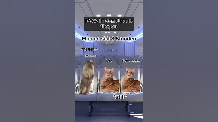 POV: In den Urlaub fliegen (Schwester nervt😭) / Part: 2 #catmeme #funny #katze #flug #flugzeug
