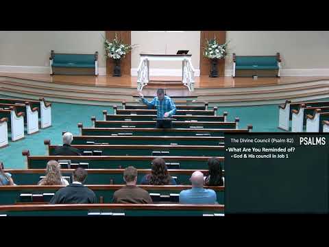 Video preview