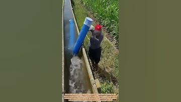 Harnessing the Power of Siphoning: An Innovative Irrigation Technique