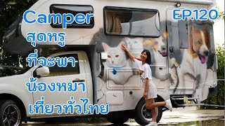Camper ที่จัดเต็มที่สุด เพื่อพาน้องหมาน้องแมว เที่ยวทั่วไทย