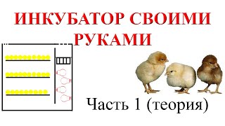 Инкубатор своими руками (Часть 1 - теория)