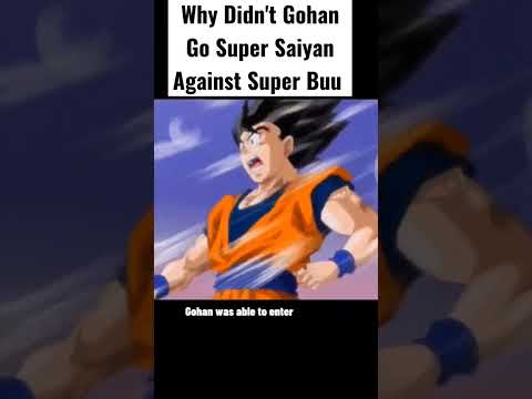 Why Didn't Gohan
