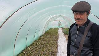 видео: Залог клубничного успеха от М. Острохишко картинка: Залог клубничного успеха от М. Острохишко