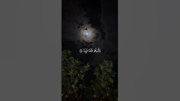 القارئ : عبد الرحمن مسعد ﴿ ۞ لَّقَدۡ رَضِيَ ٱللَّهُ عَنِ ٱلۡمُؤۡمِنِينَ﴾[ الفتح: 18]