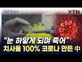 중국... 이번엔 '치사율 100%' 코로나 변이 제조