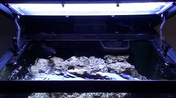 Vortech MP10ES en RSM 130D