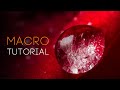 MACRO photography tutorial: everything you need to know!