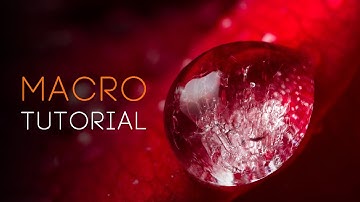 MACRO photography tutorial: everything you need to know!