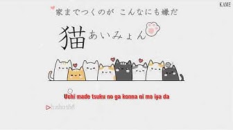 Youtube Youtube