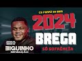 Biginho sensaao ao vivo s musica boa de ouvir cd em ritimo de arrocha 2024 e macinho  companhia