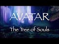 Avatar | Relaxing Music and Ambience | The Tree of Souls