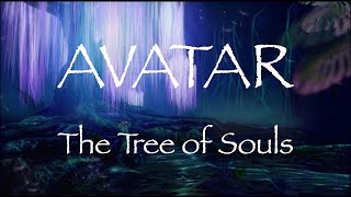 Avatar | Relaxing Music and Ambience | The Tree of Souls