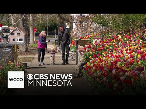 Iconic Minneapolis tulip house hits the market - YouTube