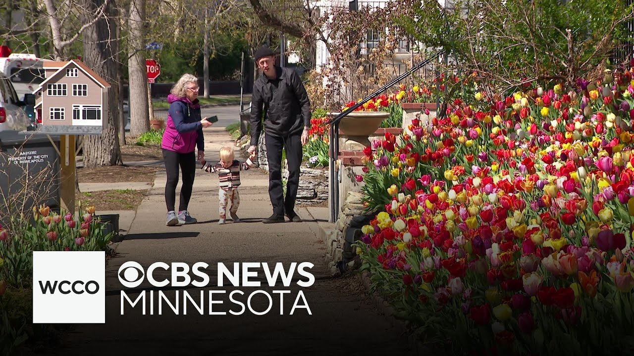 Iconic Minneapolis tulip house hits the market