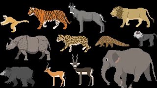 Indian Mammals -Lion,Tiger, Bear - The Kids Picture Showfun & Educational