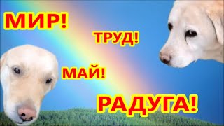 МИР! ТРУД! МАЙ! РАДУГА!