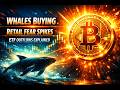 BlackRock’s ETF Shockwave: The Billion‑Dollar Move Reshaping Bitcoin