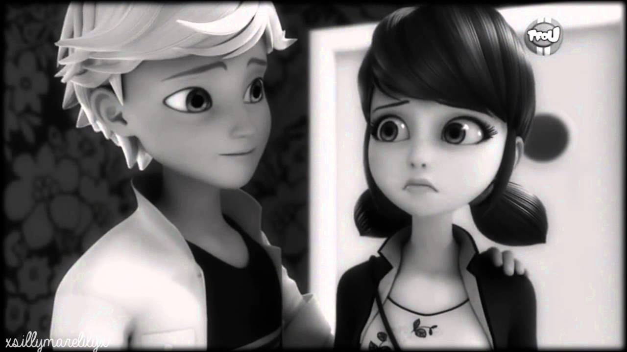 Marinette/Adrien & Ladybug/Chat Noir | Flashlight