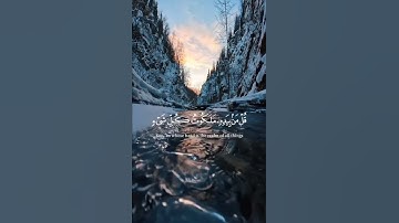 #قران كريم #راحة_نفسية ✨️ احترام القران الكريم دقيقه ❤️ اكتب يا رب في التعليقات ❤️