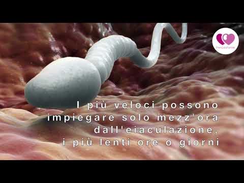 Video: Pose Per Il Concepimento Quando Si Piega L'utero