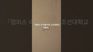 조선대학교 미술관 영상