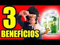 NOPESO EMAGRECEDOR: DIETA PARA SECAR BARRIGA? NOPESO EMAGRECEDOR FUNCIONA, BULA, COMO TOMAR, É BOM?