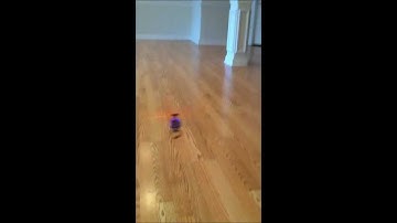 Brushless Mcpx First Ceiling Landing