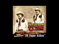 Descargar Los Invasores De Nuevo Leon - Sus Mejores 20 Super Exitos (Disco Completo) - MexTunes Descargar Los Invasores De Nuevo Leon - Sus Mejores 20 Super Exitos (Disco Completo) - MexTunes