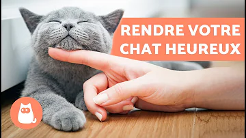 Quand un chat est content ?