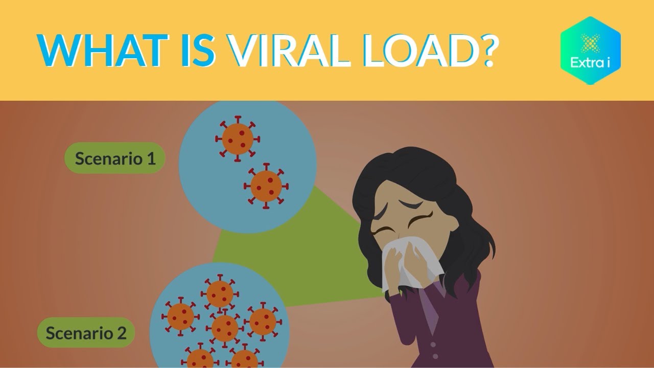 What Is Viral Load Its Importance Regarding COVID 19 YouTube What Is Viral Load Its Importance Regarding COVID 19 YouTube