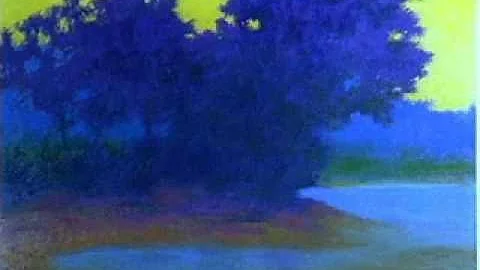 Richard Mayhew: Spiritual Landscapes DVD