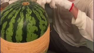スイカぴえんマンの配信