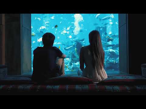 The Lost Chambers Aquarium | Atlantis The Palm, Dubai