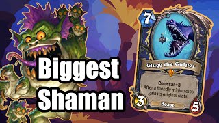 Biggest Shaman | Highlight Games | Wild Hearthstone