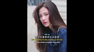 人间一笔相思债 📀 王娜 [ Ren Jian Yi Bi Xiang Si Zhai ] Wang Na - Hutang Cinta Di Dunia -