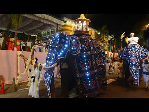 "Elephants, Politics and SriLanka" BBC Radio (4 May 2017)
