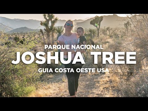 Vídeo: Cómo Planificar Un Viaje Al Parque Nacional Joshua Tree En California