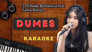 Dumes - 3 Pemuda Berbahaya feat Sallsa Bintan Karaoke | No Vocal | High Quality