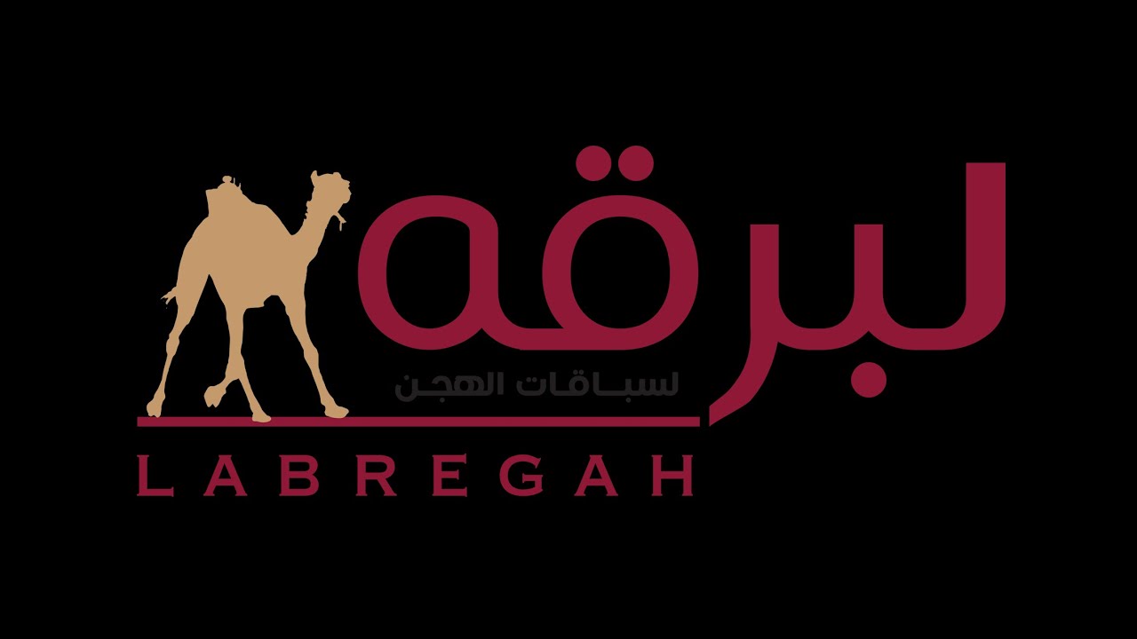 البث المباشر | أشواط الحقايق لأبناء القبائل (مهرجان ختامي الوثبة2026) ميدان الوثبة - مساء 26-02-2026