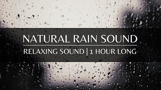 Relaxing Natural Rain | For Meditation & Studying